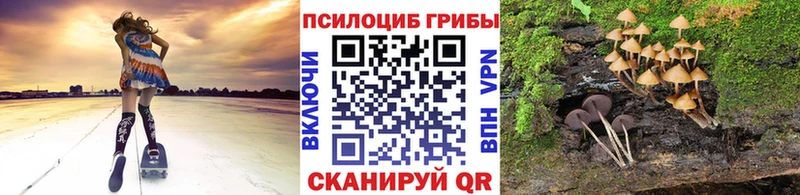 Псилоцибиновые грибы мухоморы  ОМГ ОМГ ТОР  Гусиноозёрск 